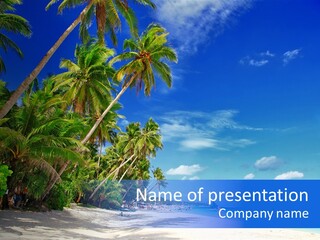 Philippines Sea Summertime PowerPoint Template