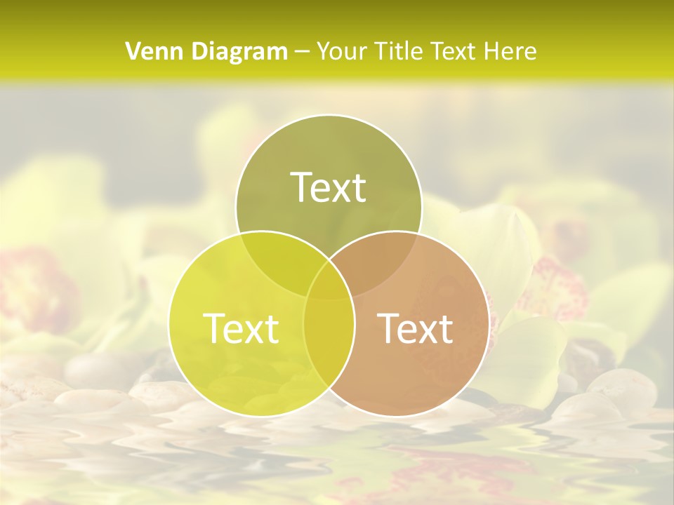 Character Li Ten Human PowerPoint Template