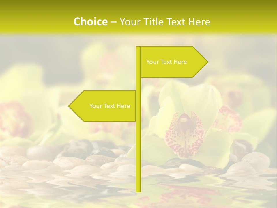 Character Li Ten Human PowerPoint Template