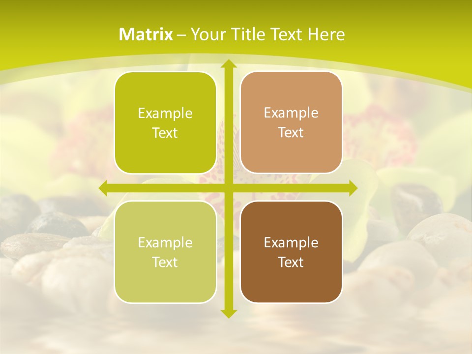 Human Toon Li Ten PowerPoint Template