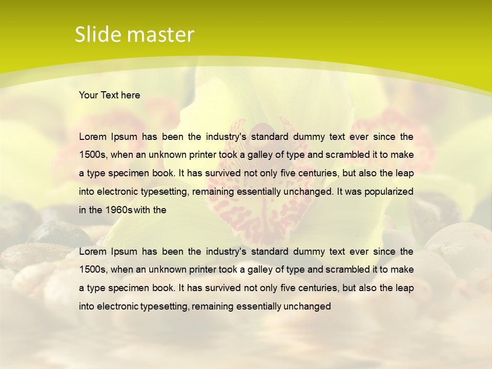 Human Toon Li Ten PowerPoint Template