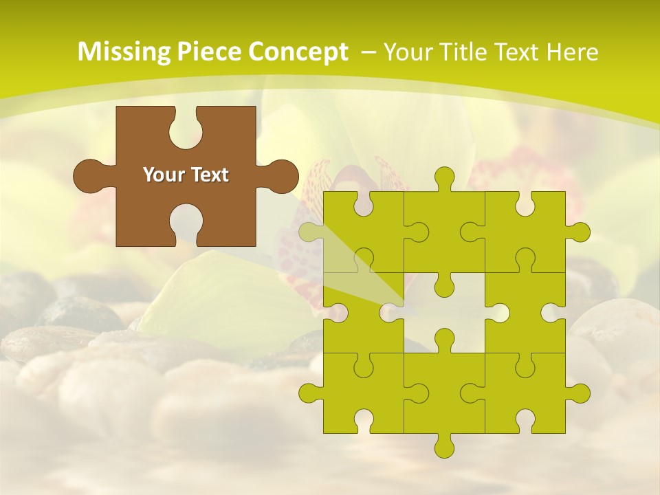 Human Toon Li Ten PowerPoint Template