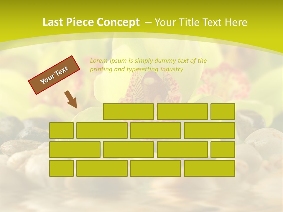 Human Toon Li Ten PowerPoint Template