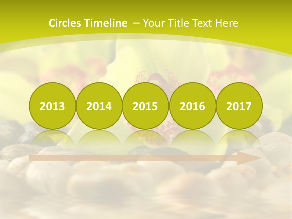 Human Toon Li Ten PowerPoint Template