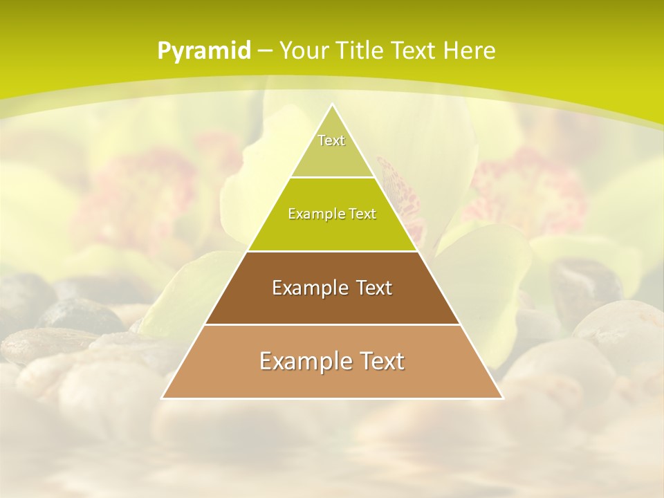 Human Toon Li Ten PowerPoint Template