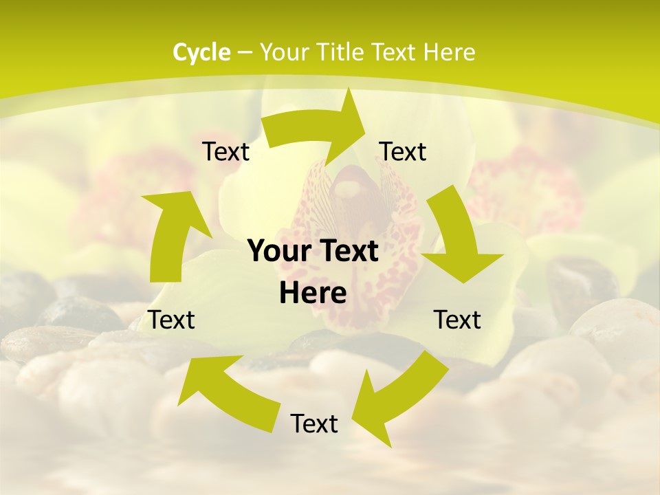 Human Toon Li Ten PowerPoint Template