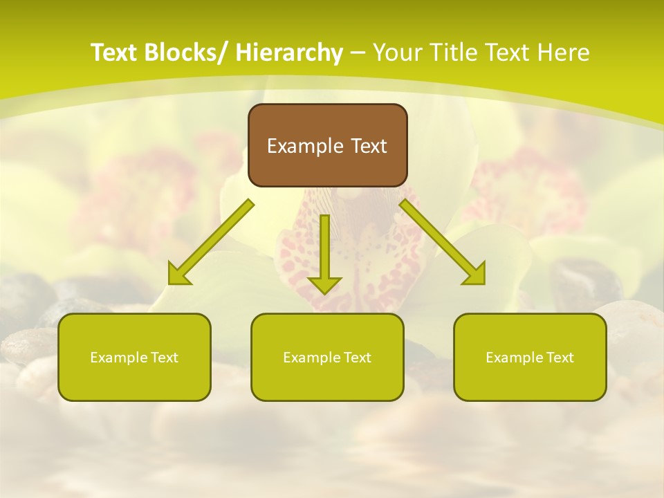 Human Toon Li Ten PowerPoint Template