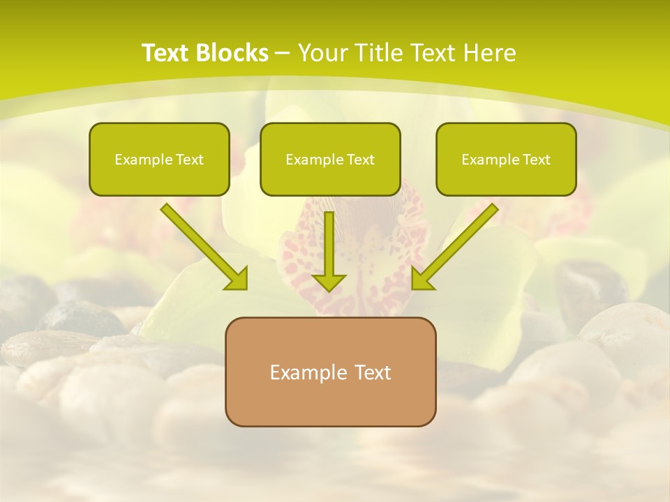 Human Toon Li Ten PowerPoint Template