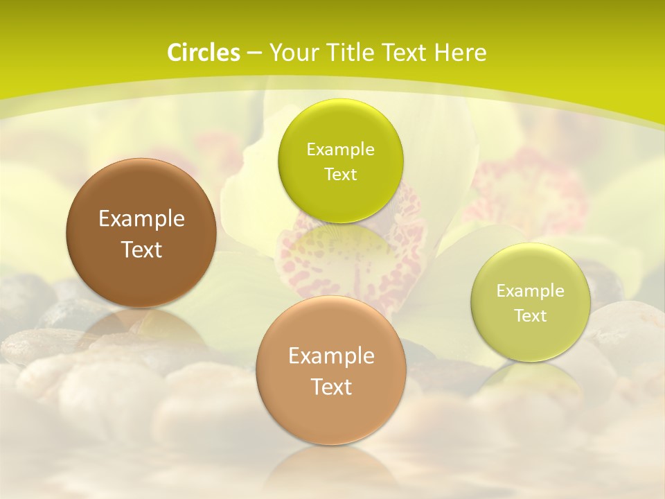 Human Toon Li Ten PowerPoint Template