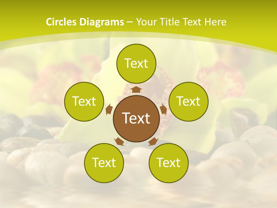 Human Toon Li Ten PowerPoint Template