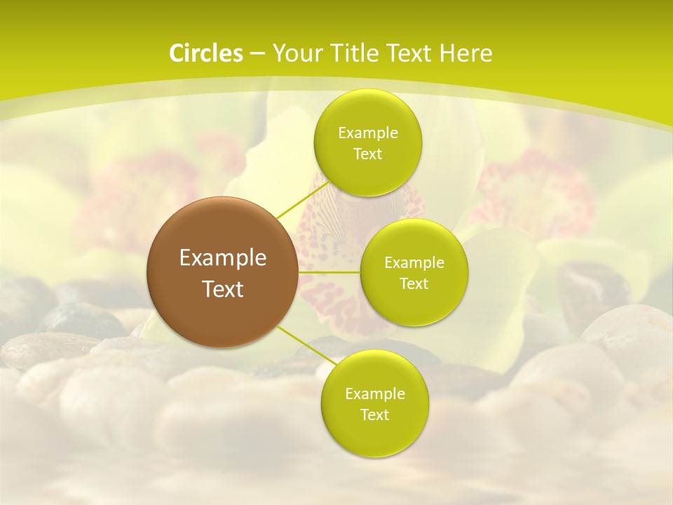 Human Toon Li Ten PowerPoint Template