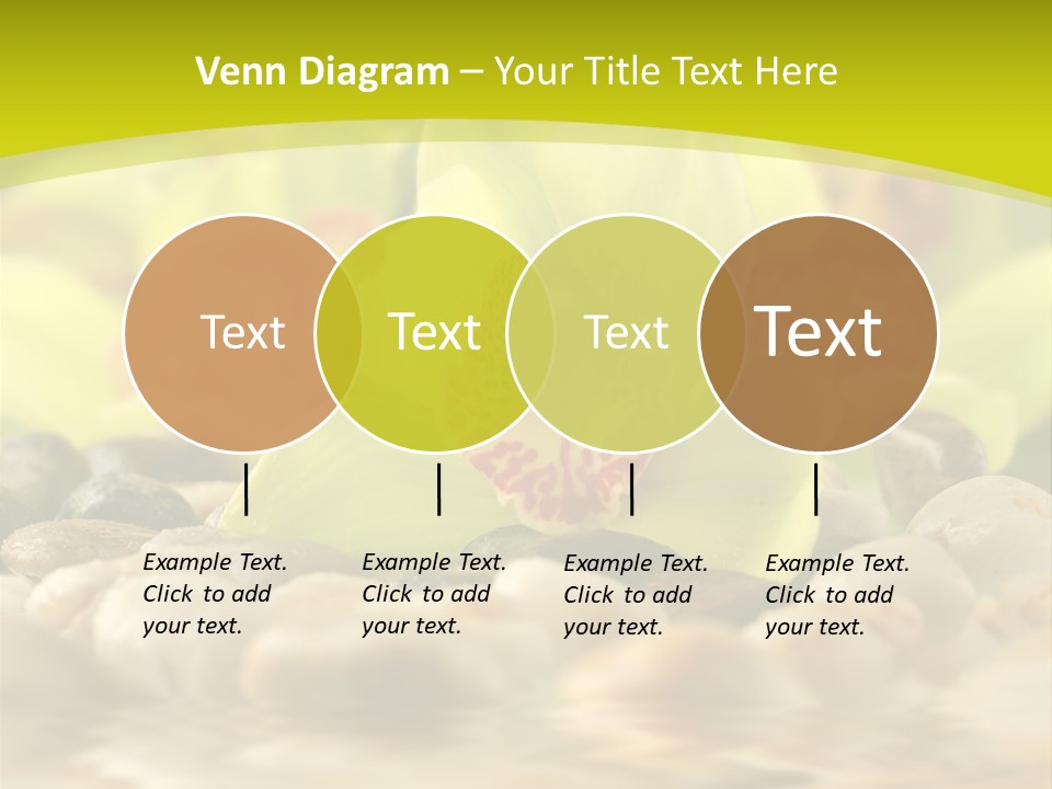 Human Toon Li Ten PowerPoint Template