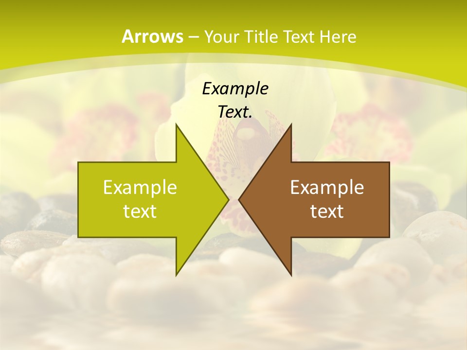 Human Toon Li Ten PowerPoint Template