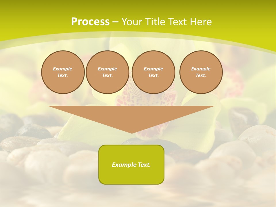 Human Toon Li Ten PowerPoint Template