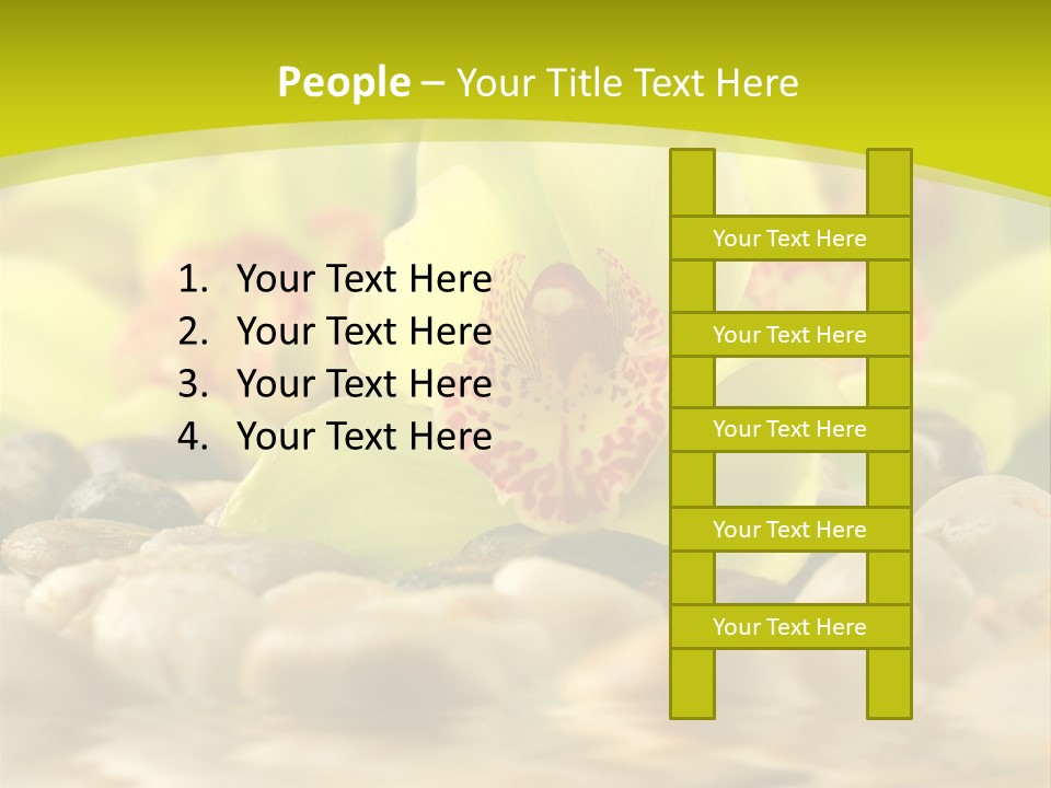 Human Toon Li Ten PowerPoint Template