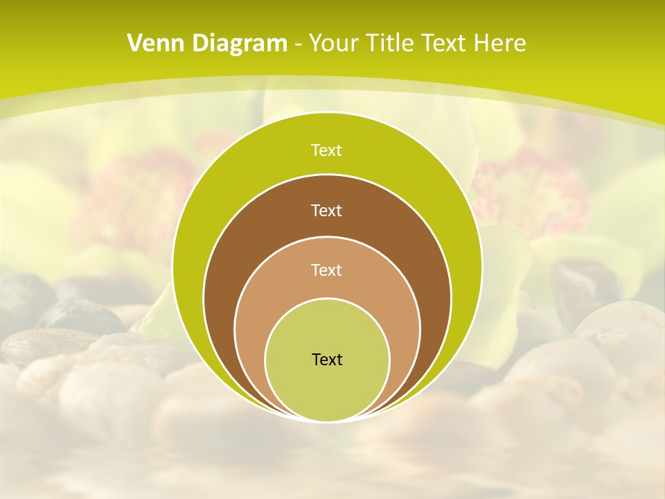 Human Toon Li Ten PowerPoint Template