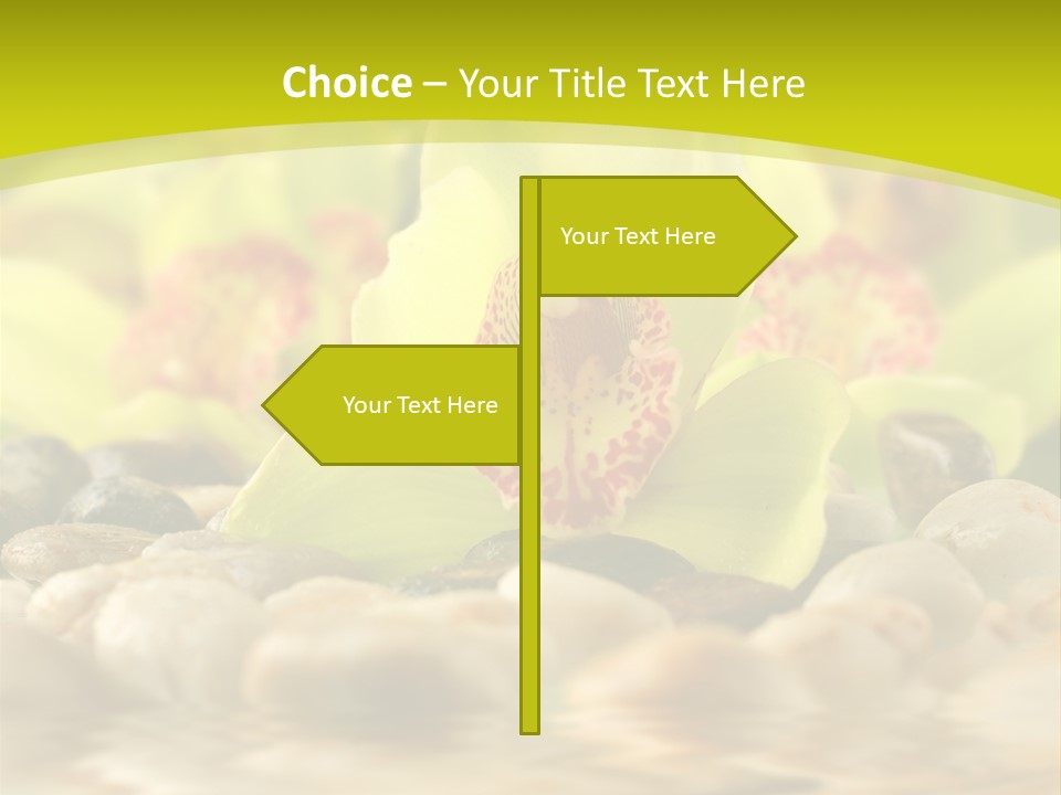 Human Toon Li Ten PowerPoint Template