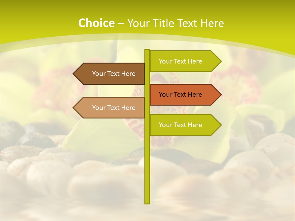 Human Toon Li Ten PowerPoint Template