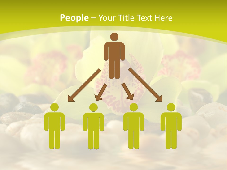 Human Toon Li Ten PowerPoint Template