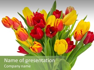 Bunch Fresh Spring PowerPoint Template