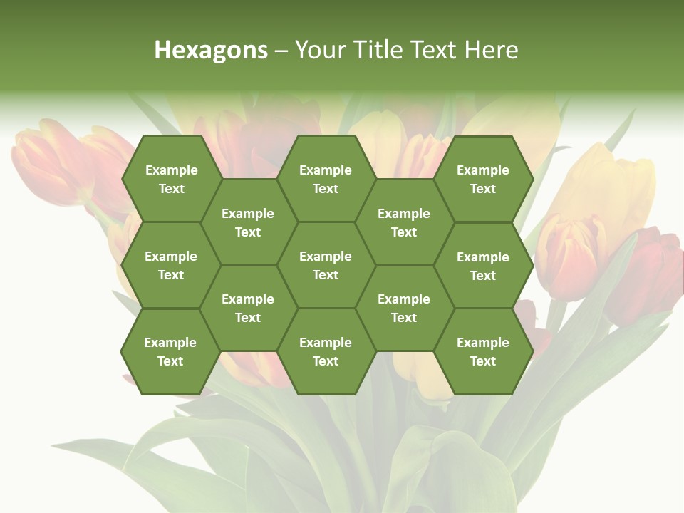 Bunch Fresh Spring PowerPoint Template