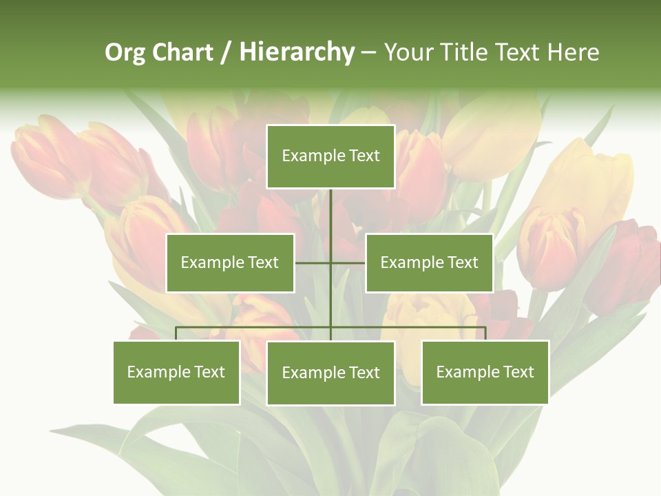 Bunch Fresh Spring PowerPoint Template