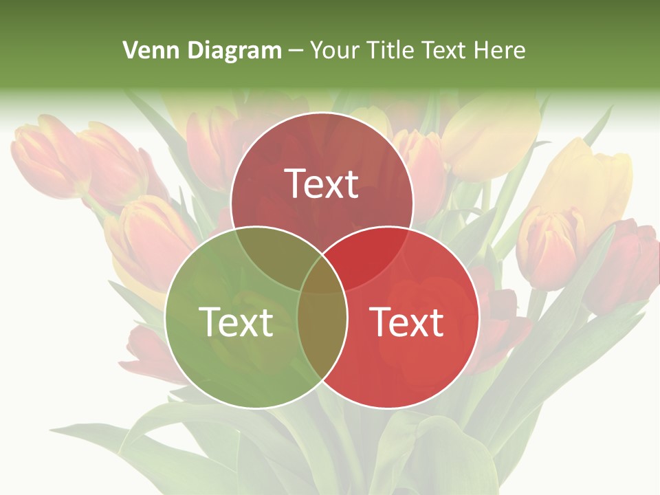 Bunch Fresh Spring PowerPoint Template