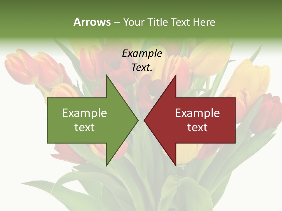 Bunch Fresh Spring PowerPoint Template