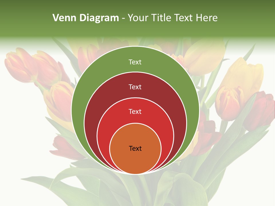 Bunch Fresh Spring PowerPoint Template