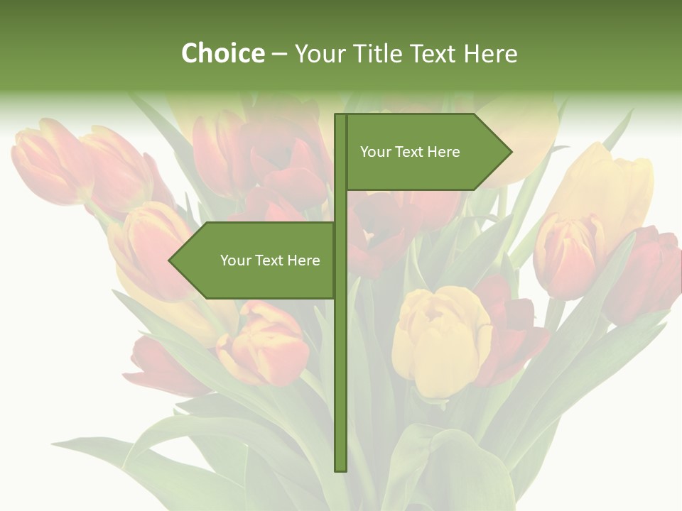 Bunch Fresh Spring PowerPoint Template