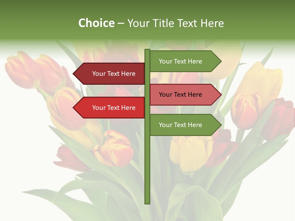 Bunch Fresh Spring PowerPoint Template