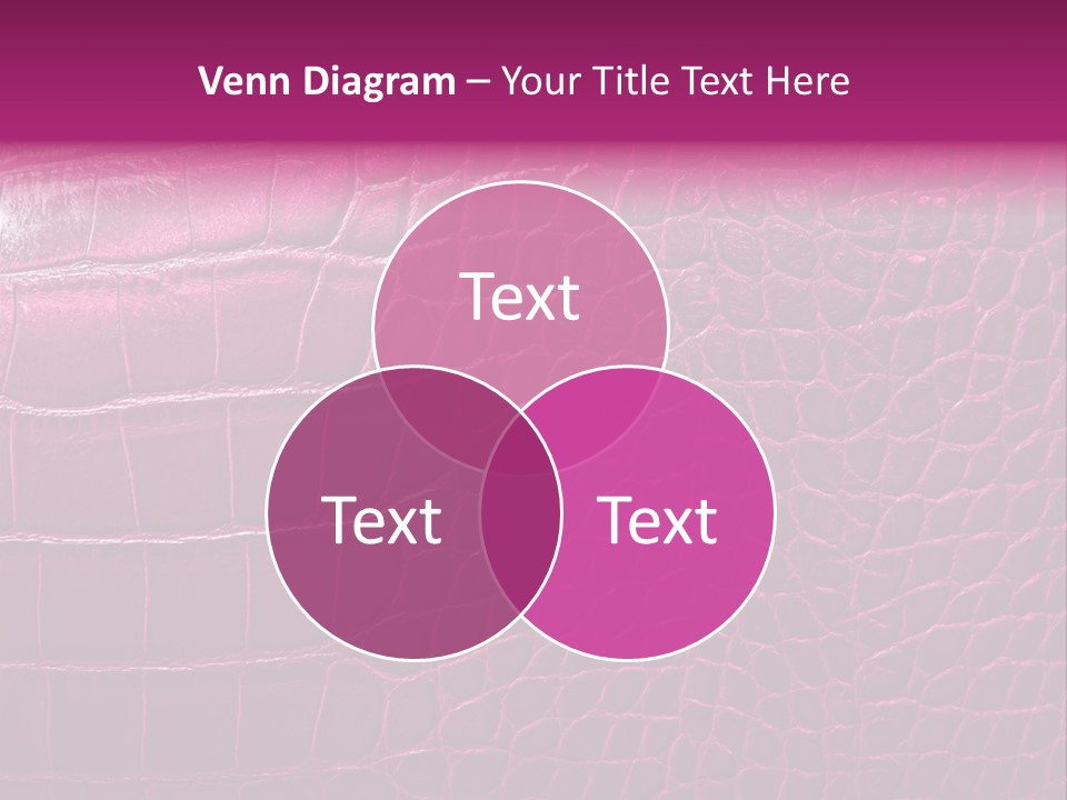 Effect Skin Textured PowerPoint Template