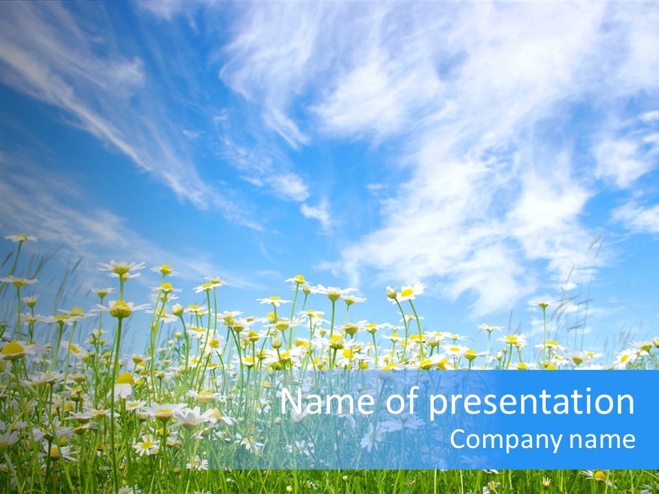 Sunlight Sun Floral PowerPoint Template