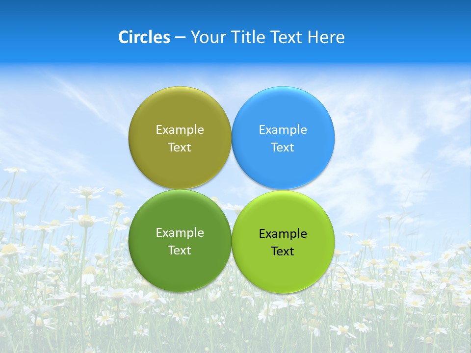 Sunlight Sun Floral PowerPoint Template