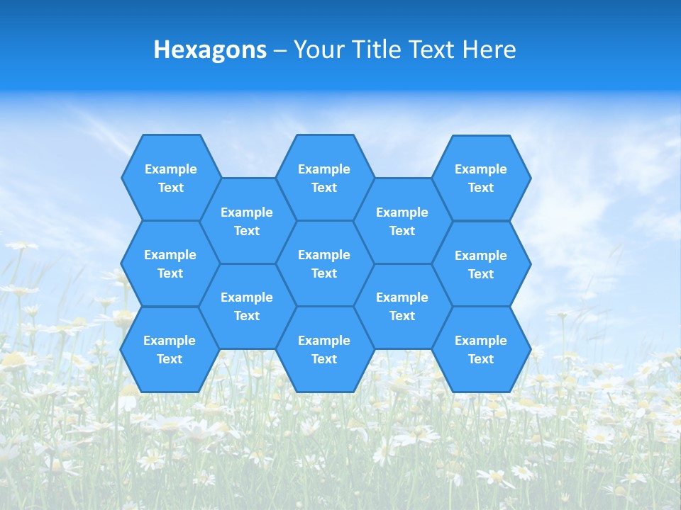 Sunlight Sun Floral PowerPoint Template