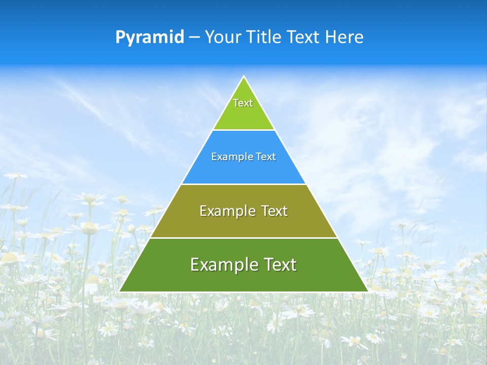 Sunlight Sun Floral PowerPoint Template