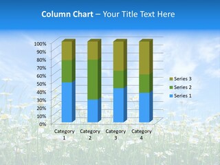 Sunlight Sun Floral PowerPoint Template