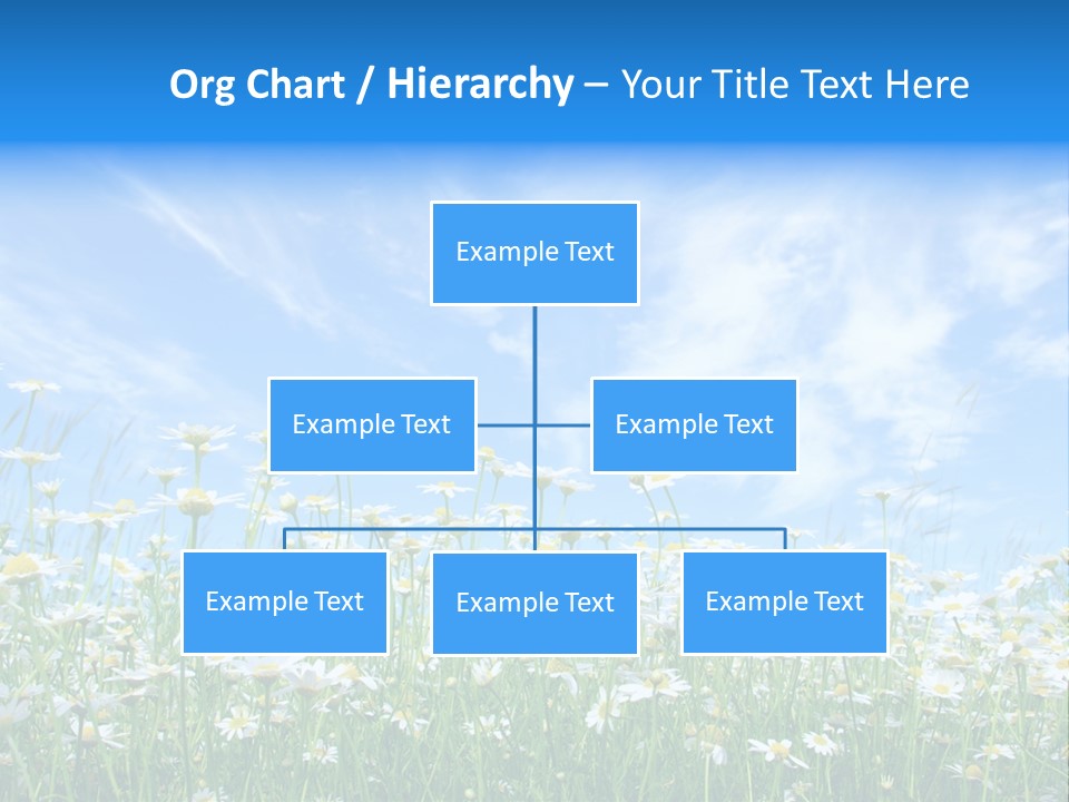 Sunlight Sun Floral PowerPoint Template