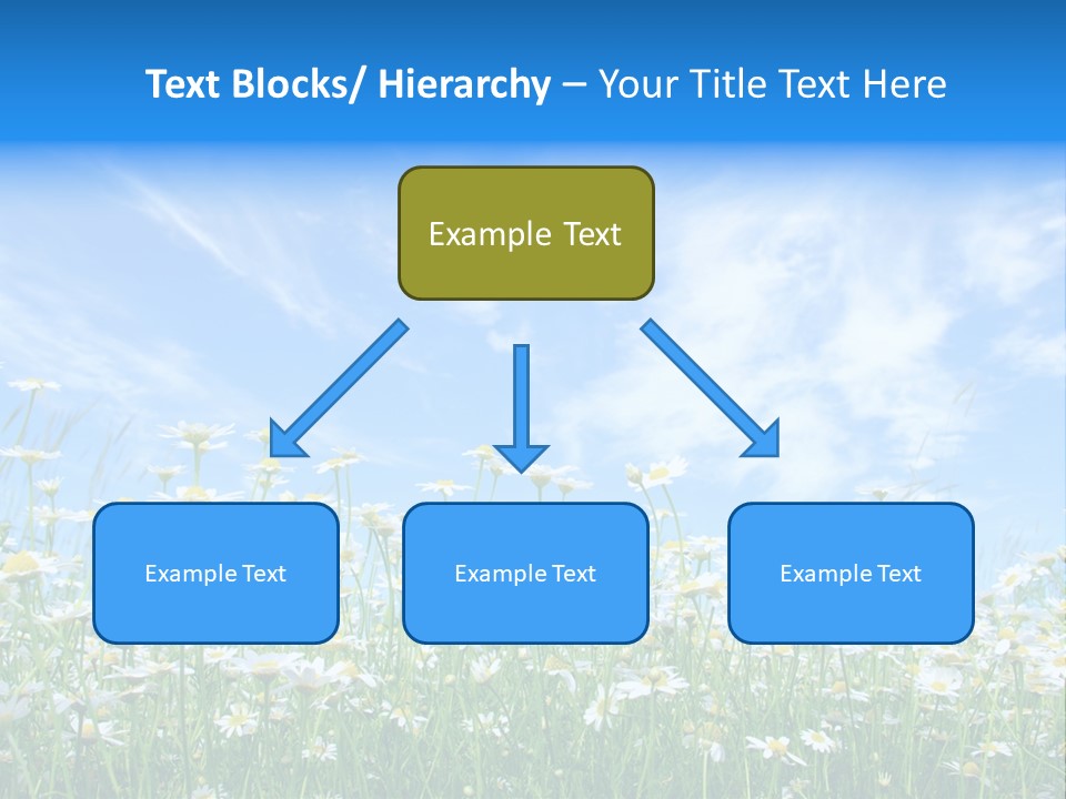 Sunlight Sun Floral PowerPoint Template