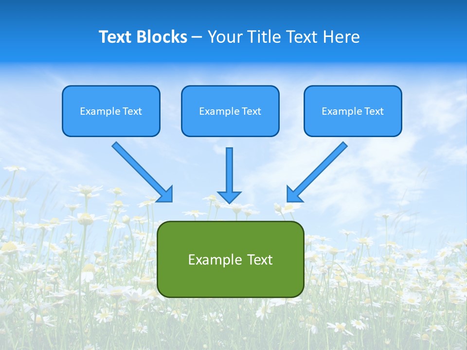 Sunlight Sun Floral PowerPoint Template