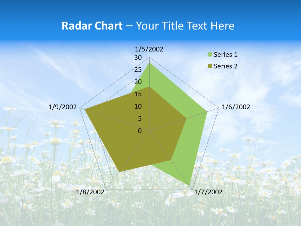 Sunlight Sun Floral PowerPoint Template