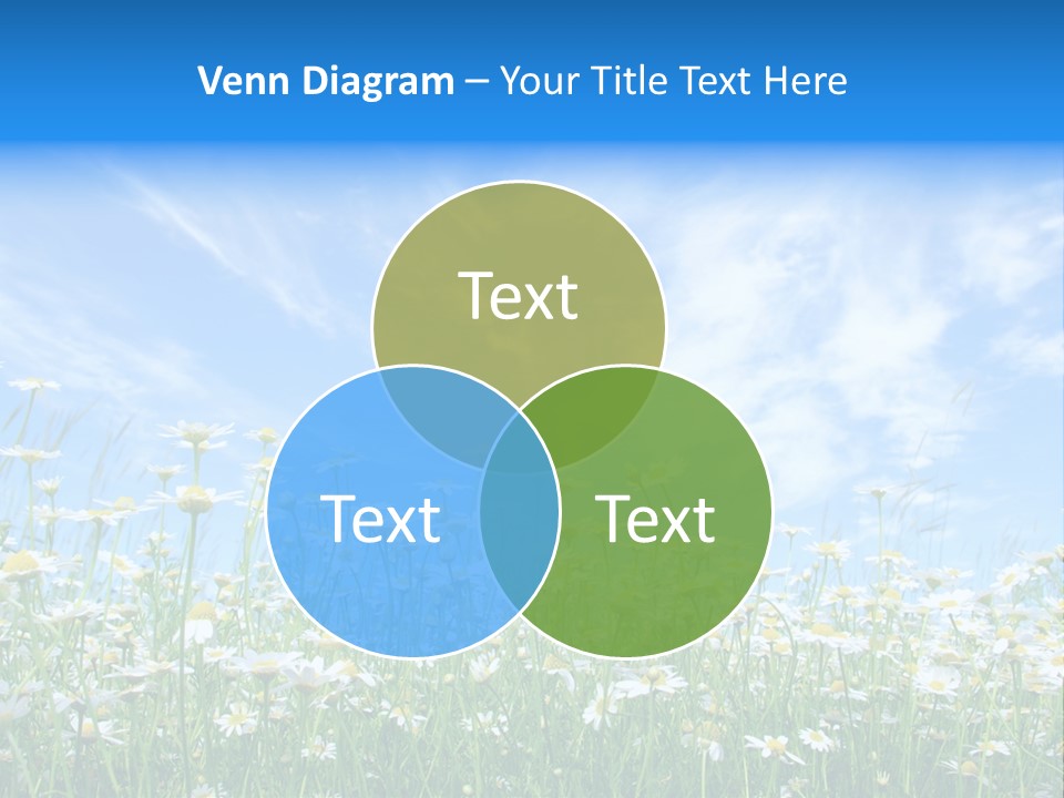 Sunlight Sun Floral PowerPoint Template