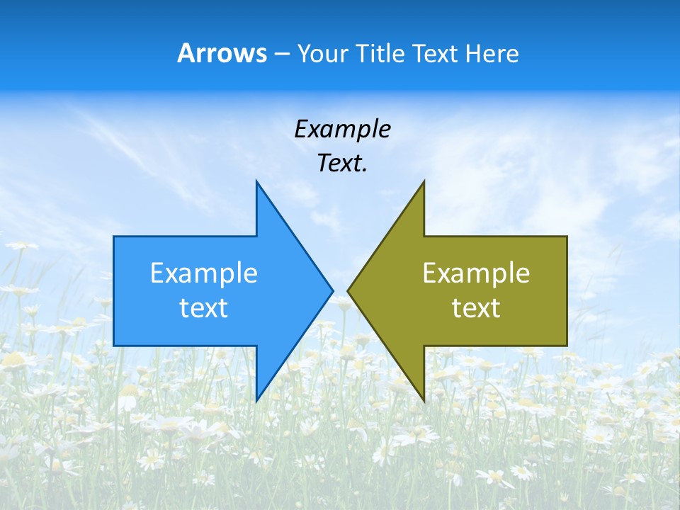 Sunlight Sun Floral PowerPoint Template