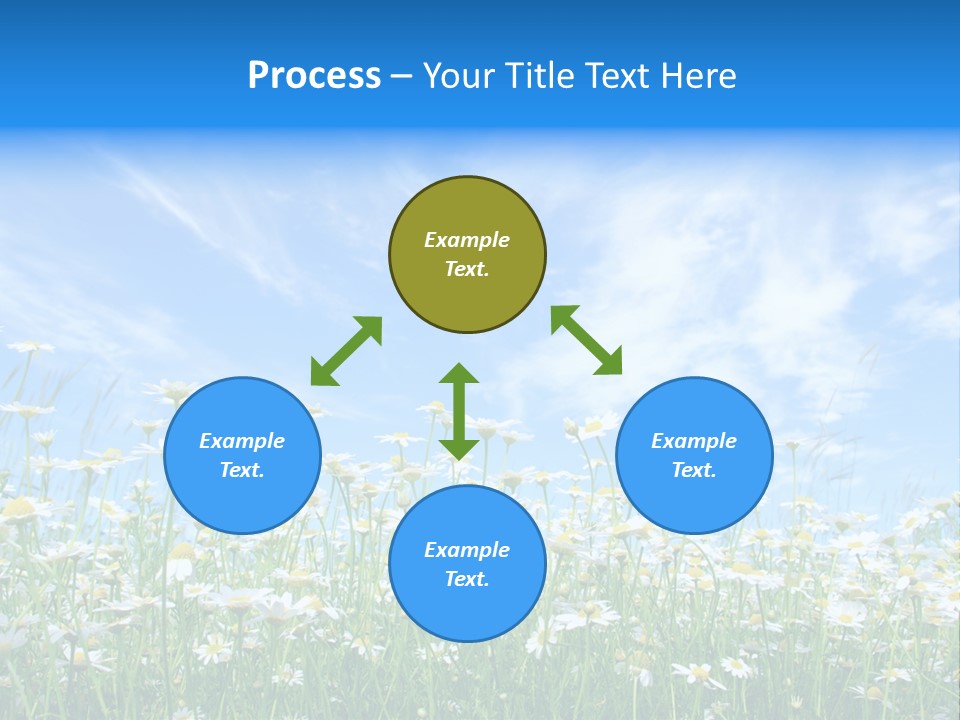 Sunlight Sun Floral PowerPoint Template
