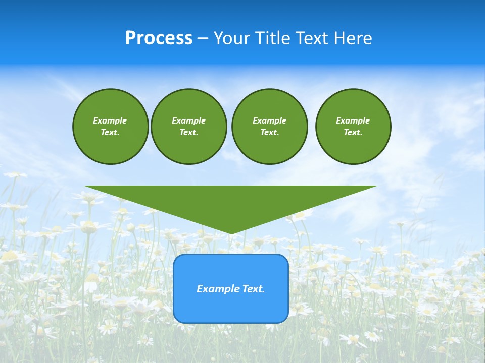 Sunlight Sun Floral PowerPoint Template
