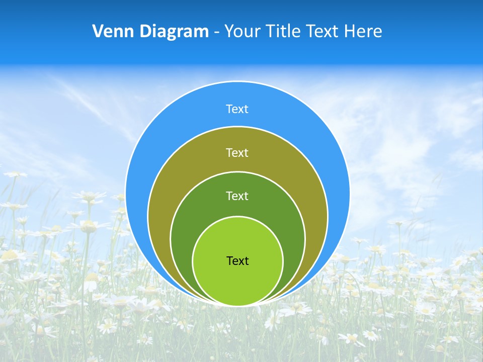 Sunlight Sun Floral PowerPoint Template