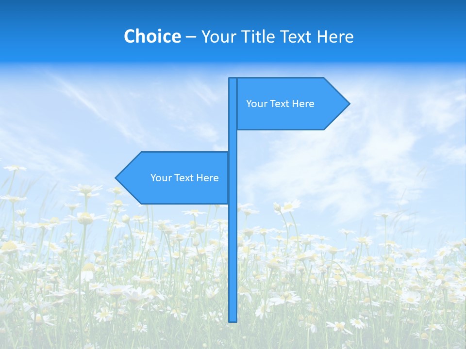Sunlight Sun Floral PowerPoint Template
