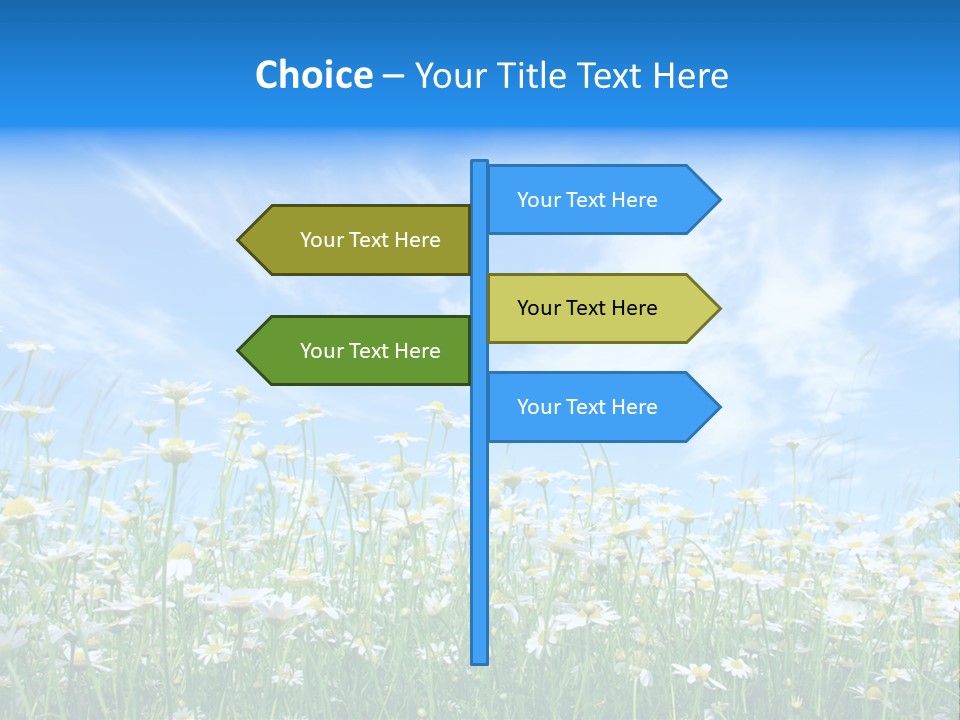 Sunlight Sun Floral PowerPoint Template
