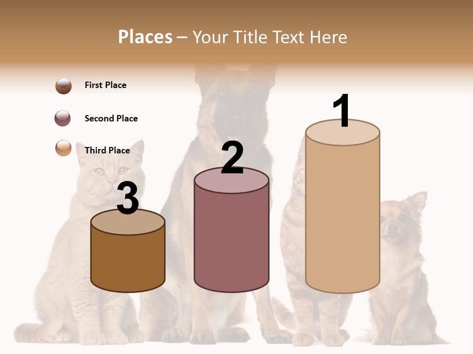 Looking At Camera Tongue Animal PowerPoint Template