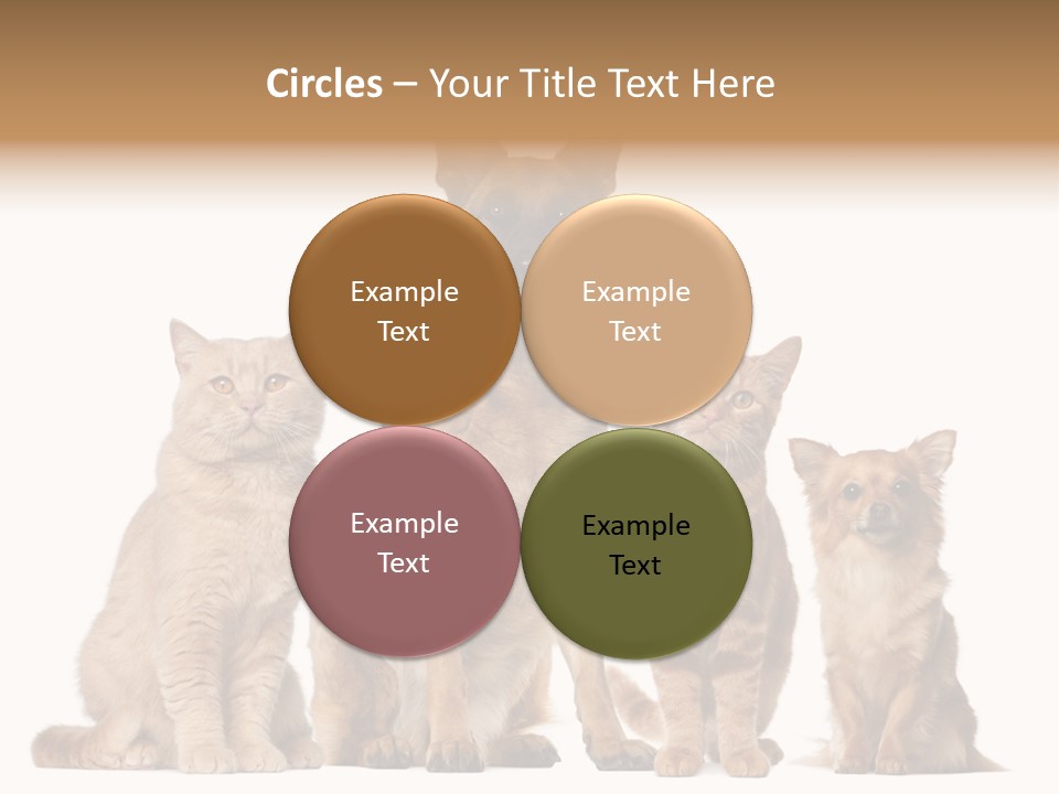 Looking At Camera Tongue Animal PowerPoint Template
